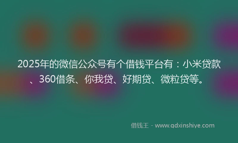 2025年的微信公众号有个借钱平台有：小米贷款、360借条、你我贷、好期贷、微粒贷等。