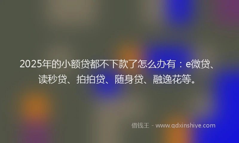 2025年的小额贷都不下款了怎么办有：e微贷、读秒贷、拍拍贷、随身贷、融逸花等。