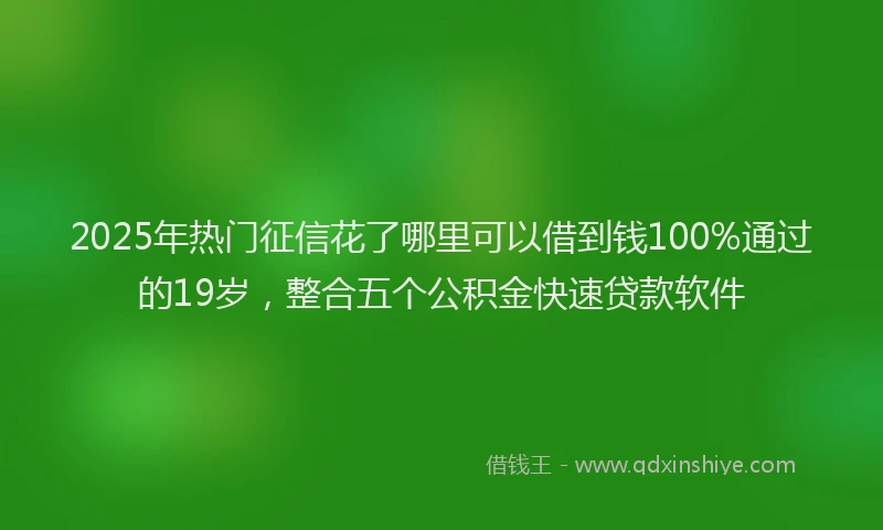 2025年热门征信花了哪里可以借到钱100%通过的19岁，整合五个公积金快速贷款软件