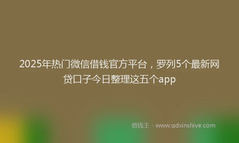 2025年热门微信借钱官方平台，罗列5个最新网贷口子今日整理这五个app