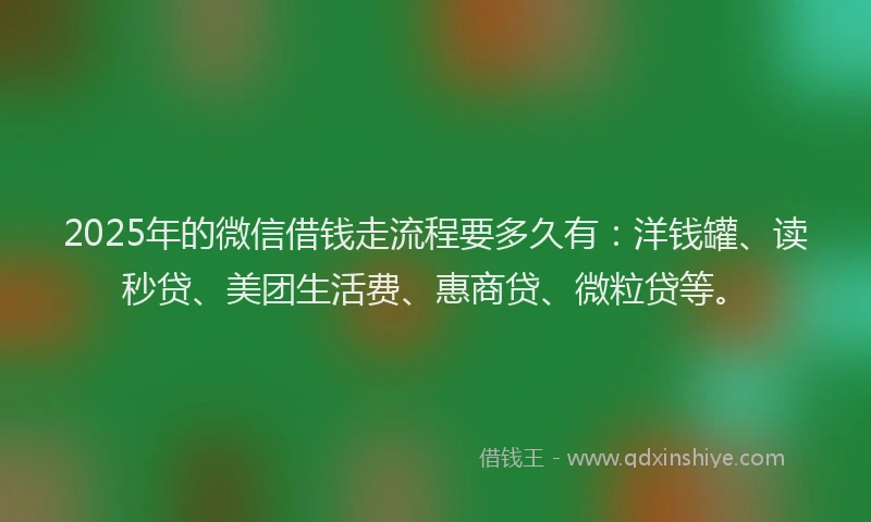 2025年的微信借钱走流程要多久有：洋钱罐、读秒贷、美团生活费、惠商贷、微粒贷等。