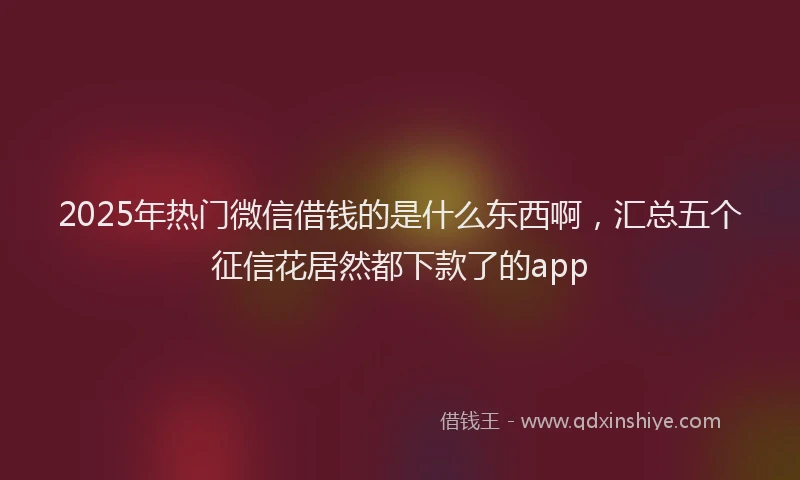 2025年热门微信借钱的是什么东西啊，汇总五个征信花居然都下款了的app
