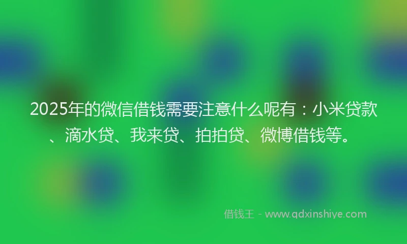 2025年的微信借钱需要注意什么呢有：小米贷款、滴水贷、我来贷、拍拍贷、微博借钱等。
