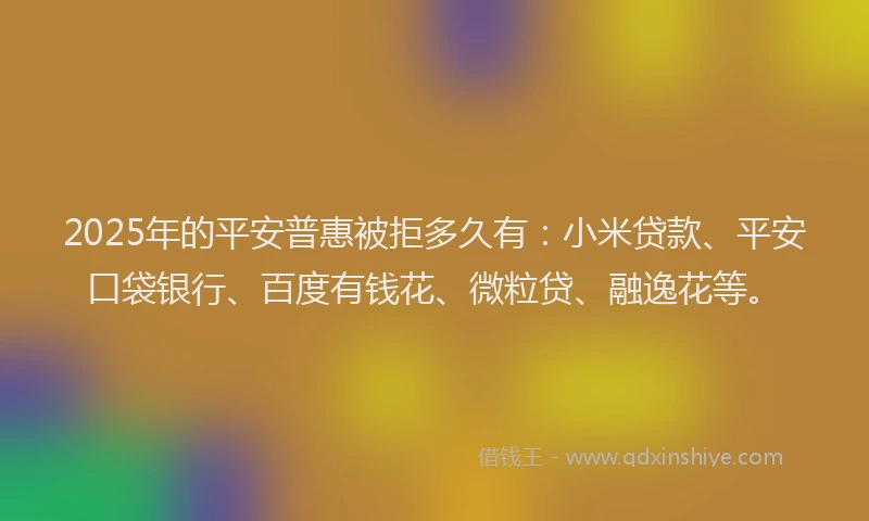 2025年的平安普惠被拒多久有：小米贷款、平安口袋银行、百度有钱花、微粒贷、融逸花等。