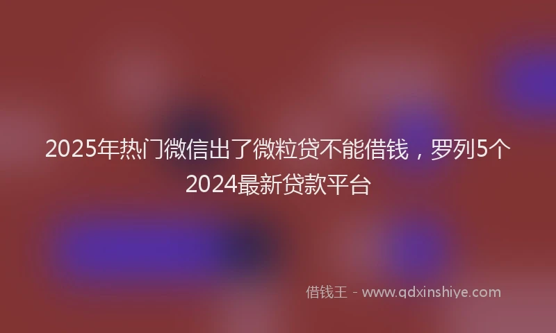2025年热门微信出了微粒贷不能借钱，罗列5个2024最新贷款平台