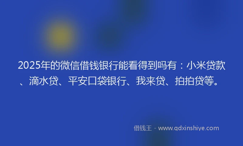 2025年的微信借钱银行能看得到吗有：小米贷款、滴水贷、平安口袋银行、我来贷、拍拍贷等。