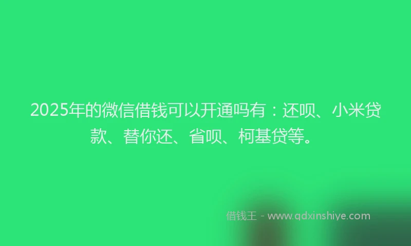 2025年的微信借钱可以开通吗有：还呗、小米贷款、替你还、省呗、柯基贷等。