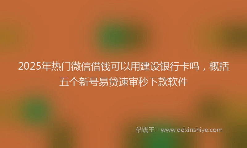 2025年热门微信借钱可以用建设银行卡吗，概括五个新号易贷速审秒下款软件
