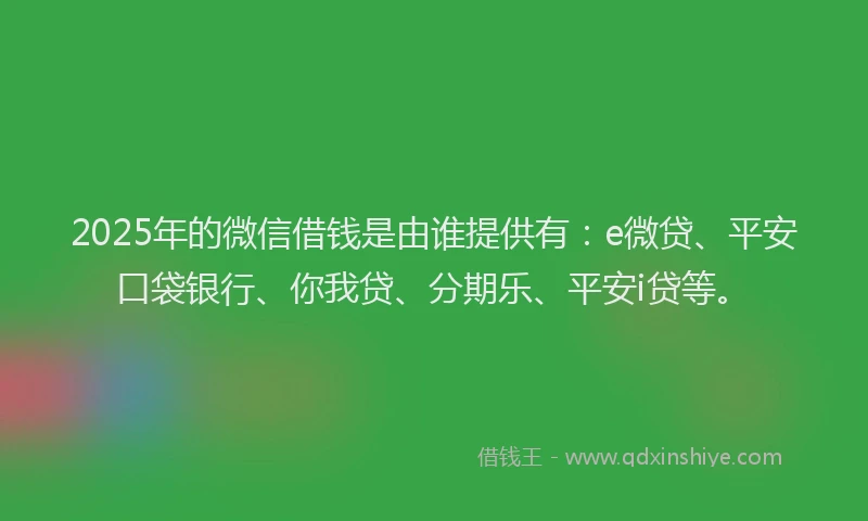 2025年的微信借钱是由谁提供有：e微贷、平安口袋银行、你我贷、分期乐、平安i贷等。
