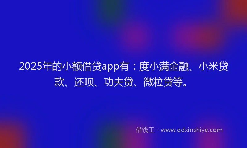 2025年的小额借贷app有：度小满金融、小米贷款、还呗、功夫贷、微粒贷等。
