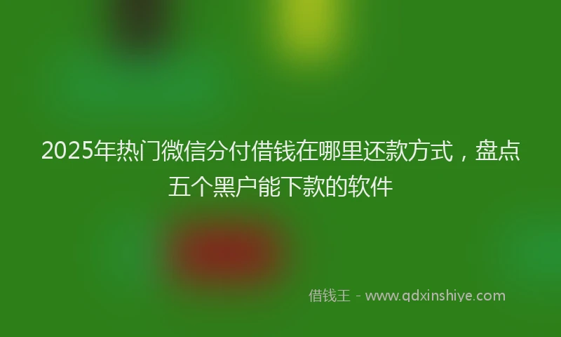 2025年热门微信分付借钱在哪里还款方式，盘点五个黑户能下款的软件