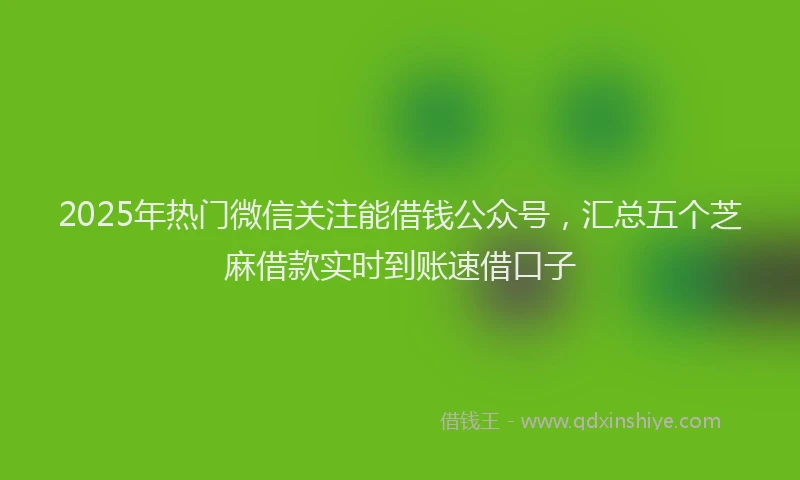 2025年热门微信关注能借钱公众号，汇总五个芝麻借款实时到账速借口子