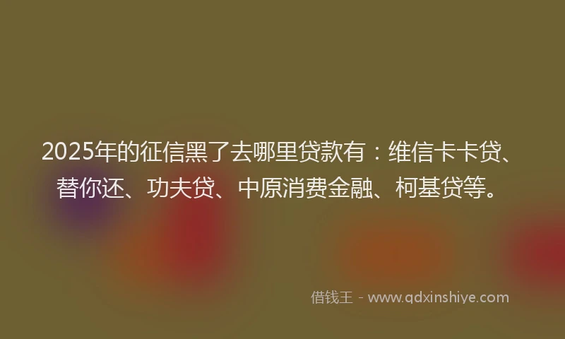 2025年的征信黑了去哪里贷款有：维信卡卡贷、替你还、功夫贷、中原消费金融、柯基贷等。