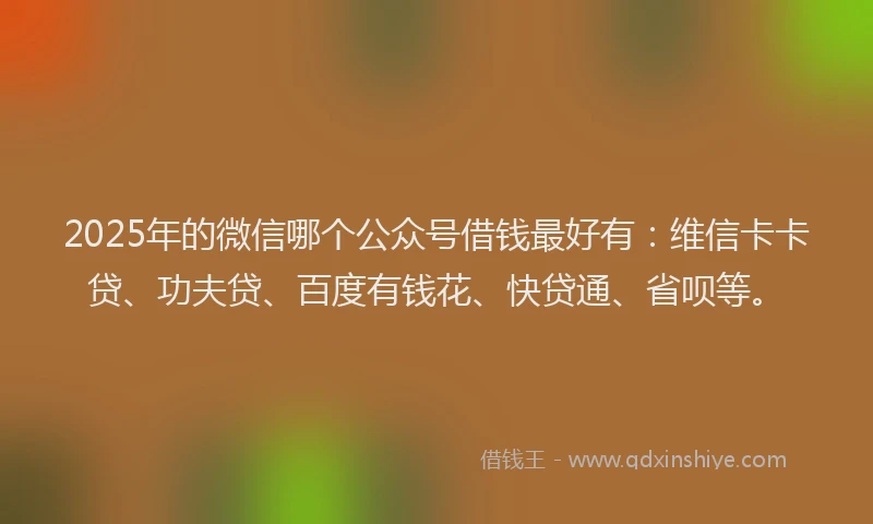 2025年的微信哪个公众号借钱最好有：维信卡卡贷、功夫贷、百度有钱花、快贷通、省呗等。