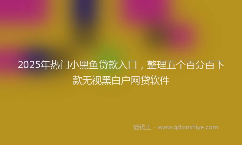 2025年热门小黑鱼贷款入口，整理五个百分百下款无视黑白户网贷软件