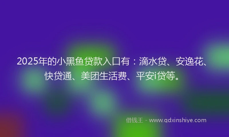 2025年的小黑鱼贷款入口有：滴水贷、安逸花、快贷通、美团生活费、平安i贷等。