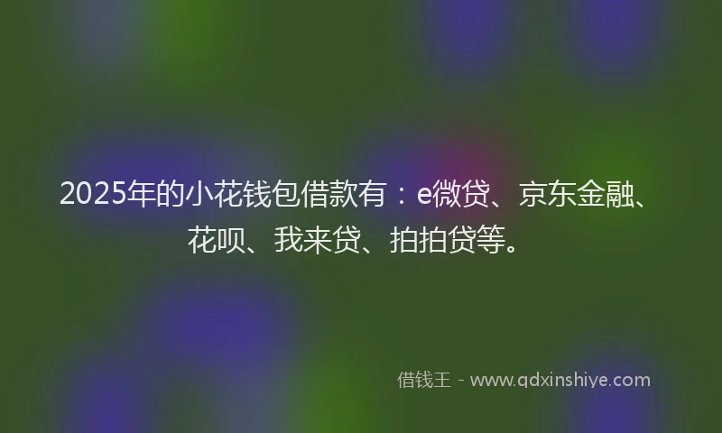 2025年的小花钱包借款有：e微贷、京东金融、花呗、我来贷、拍拍贷等。