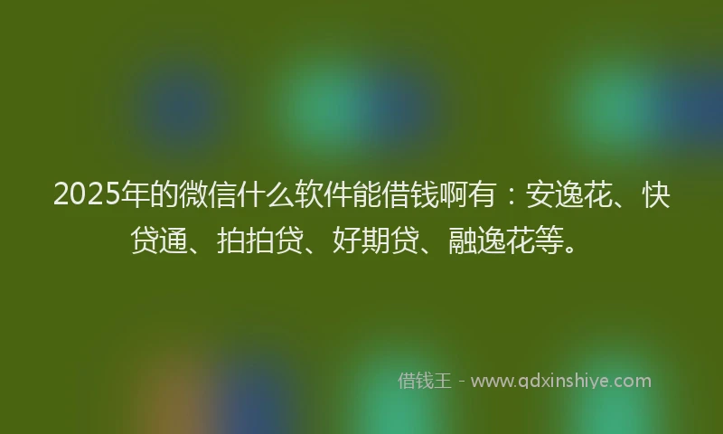 2025年的微信什么软件能借钱啊有：安逸花、快贷通、拍拍贷、好期贷、融逸花等。