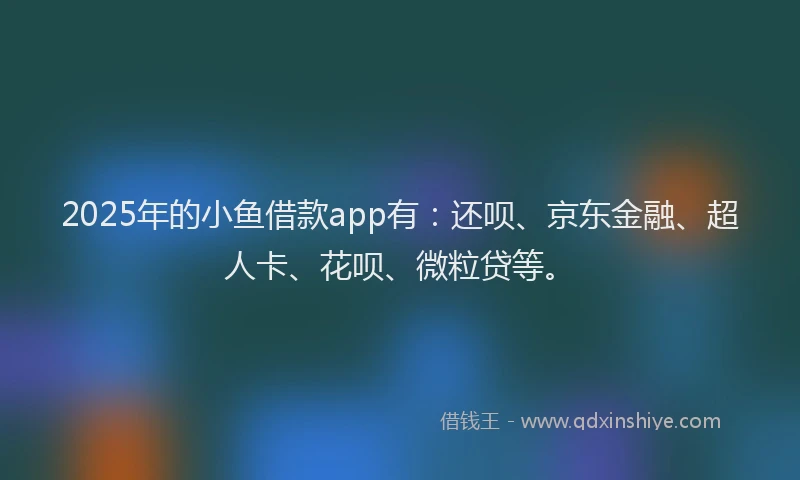 2025年的小鱼借款app有：还呗、京东金融、超人卡、花呗、微粒贷等。