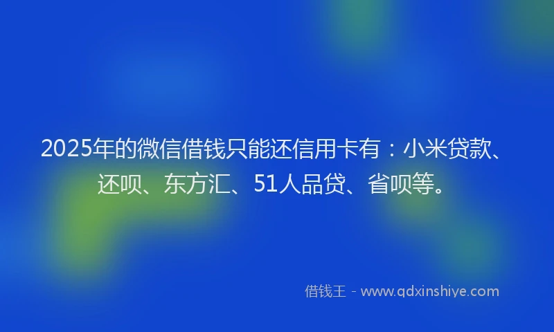 2025年的微信借钱只能还信用卡有：小米贷款、还呗、东方汇、51人品贷、省呗等。