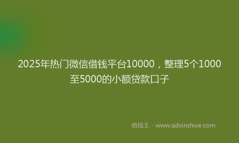 2025年热门微信借钱平台10000，整理5个1000至5000的小额贷款口子