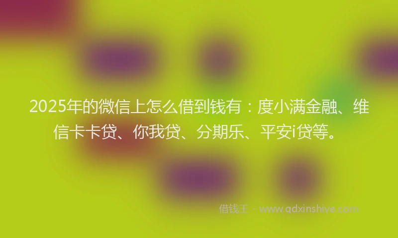 2025年的微信上怎么借到钱有：度小满金融、维信卡卡贷、你我贷、分期乐、平安i贷等。