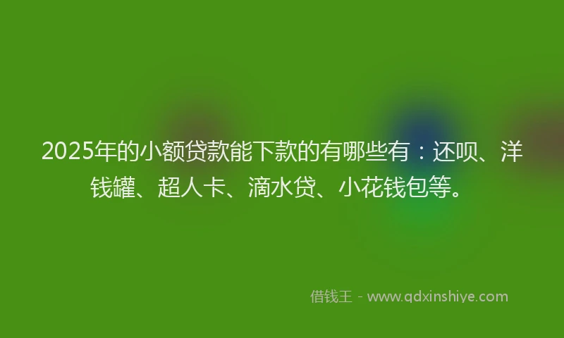2025年的小额贷款能下款的有哪些有：还呗、洋钱罐、超人卡、滴水贷、小花钱包等。