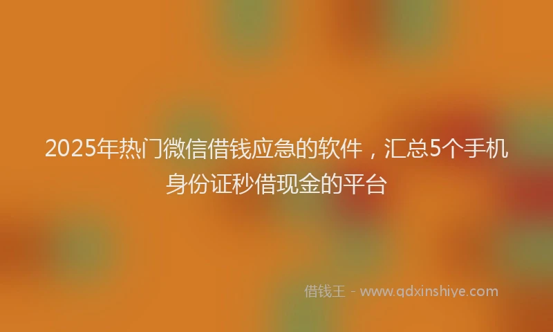 2025年热门微信借钱应急的软件，汇总5个手机身份证秒借现金的平台