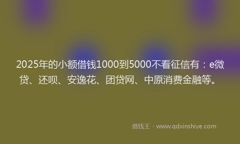 2025年的小额借钱1000到5000不看征信有：e微贷、还呗、安逸花、团贷网、中原消费金融等。