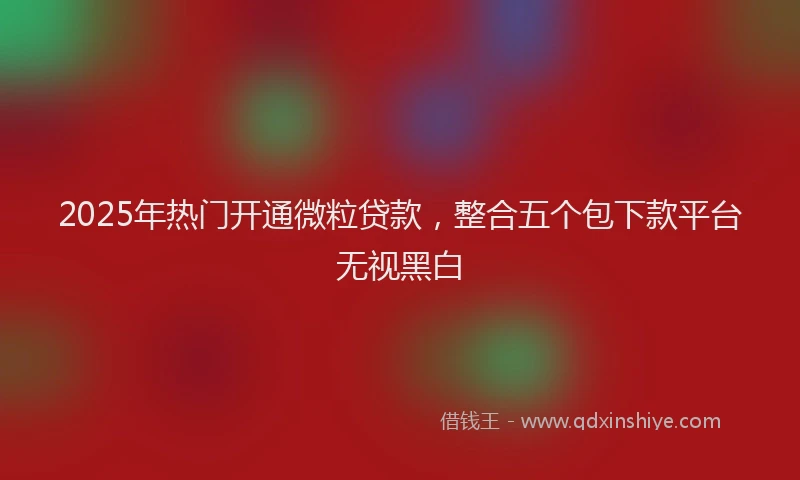 2025年热门开通微粒贷款，整合五个包下款平台无视黑白