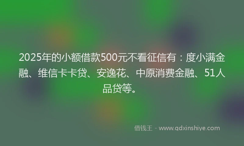 2025年的小额借款500元不看征信有：度小满金融、维信卡卡贷、安逸花、中原消费金融、51人品贷等。