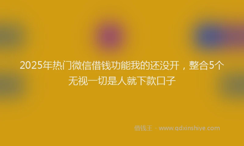 2025年热门微信借钱功能我的还没开，整合5个无视一切是人就下款口子