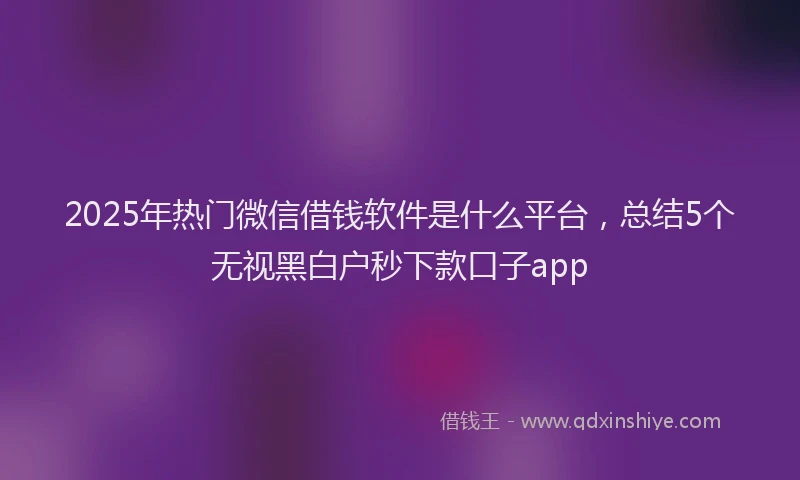 2025年热门微信借钱软件是什么平台，总结5个无视黑白户秒下款口子app