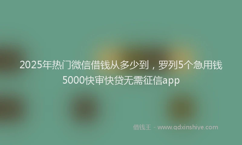 2025年热门微信借钱从多少到，罗列5个急用钱5000快审快贷无需征信app