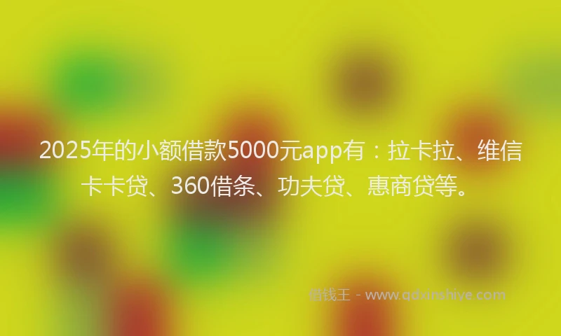 2025年的小额借款5000元app有：拉卡拉、维信卡卡贷、360借条、功夫贷、惠商贷等。