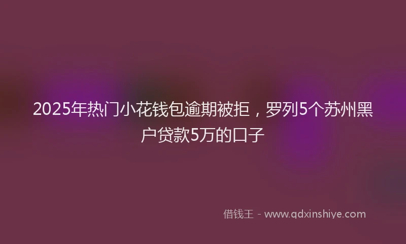 2025年热门小花钱包逾期被拒，罗列5个苏州黑户贷款5万的口子