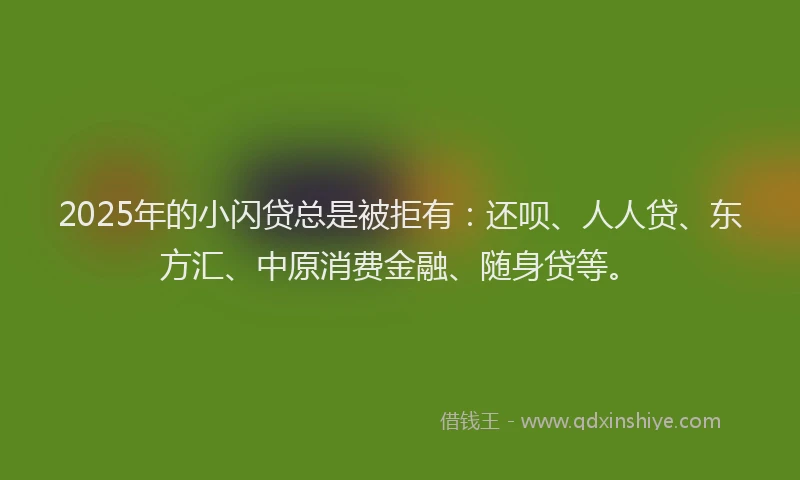 2025年的小闪贷总是被拒有：还呗、人人贷、东方汇、中原消费金融、随身贷等。