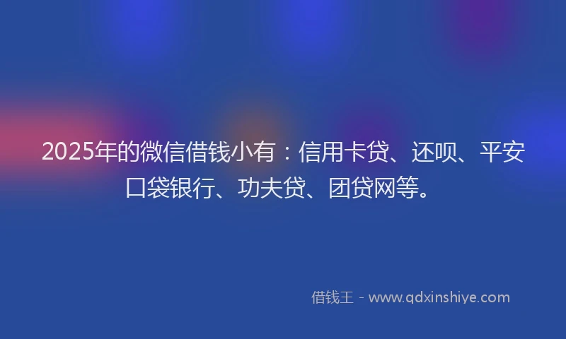 2025年的微信借钱小有：信用卡贷、还呗、平安口袋银行、功夫贷、团贷网等。