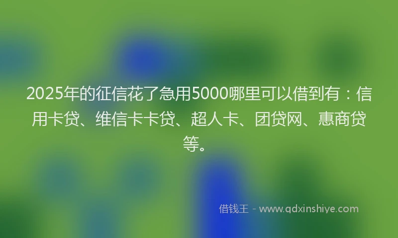2025年的征信花了急用5000哪里可以借到有：信用卡贷、维信卡卡贷、超人卡、团贷网、惠商贷等。