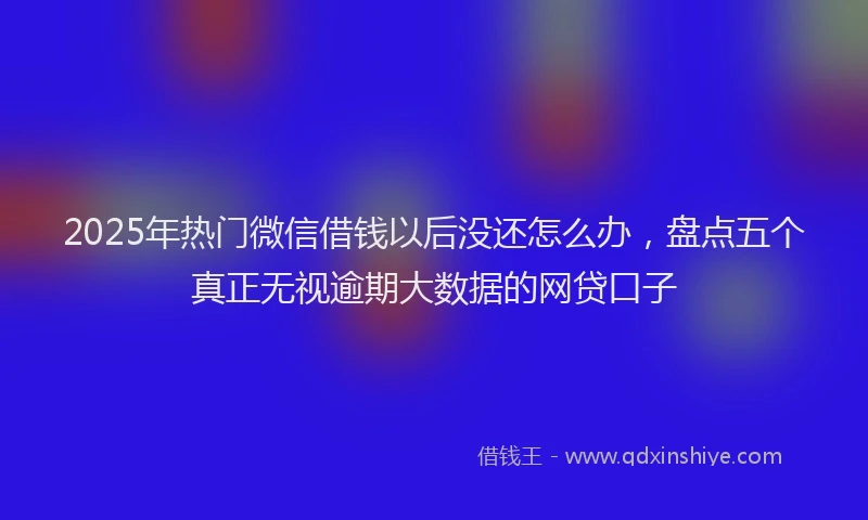 2025年热门微信借钱以后没还怎么办，盘点五个真正无视逾期大数据的网贷口子
