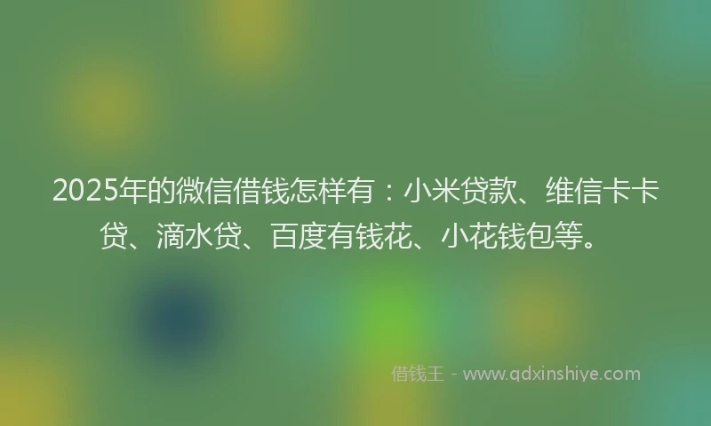 2025年的微信借钱怎样有：小米贷款、维信卡卡贷、滴水贷、百度有钱花、小花钱包等。