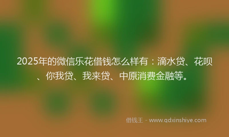 2025年的微信乐花借钱怎么样有：滴水贷、花呗、你我贷、我来贷、中原消费金融等。