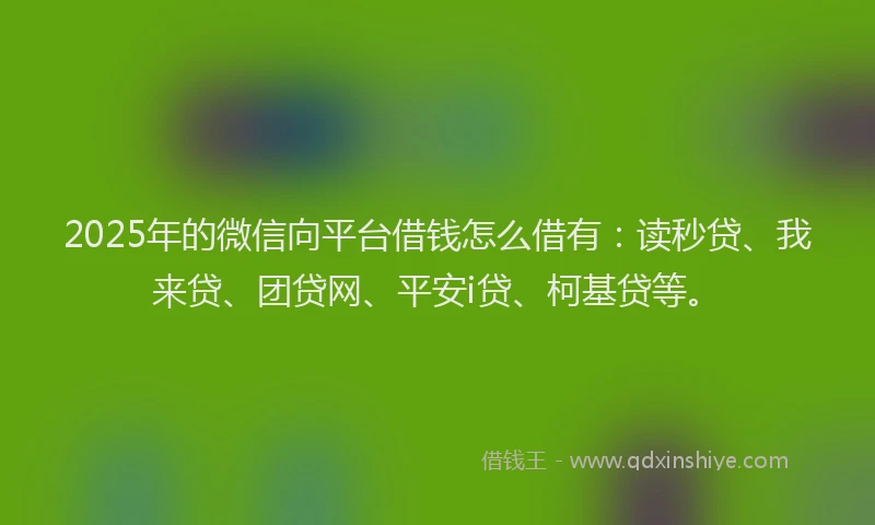 2025年的微信向平台借钱怎么借有：读秒贷、我来贷、团贷网、平安i贷、柯基贷等。