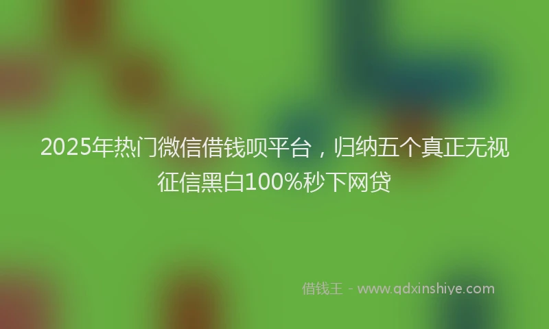 2025年热门微信借钱呗平台，归纳五个真正无视征信黑白100%秒下网贷