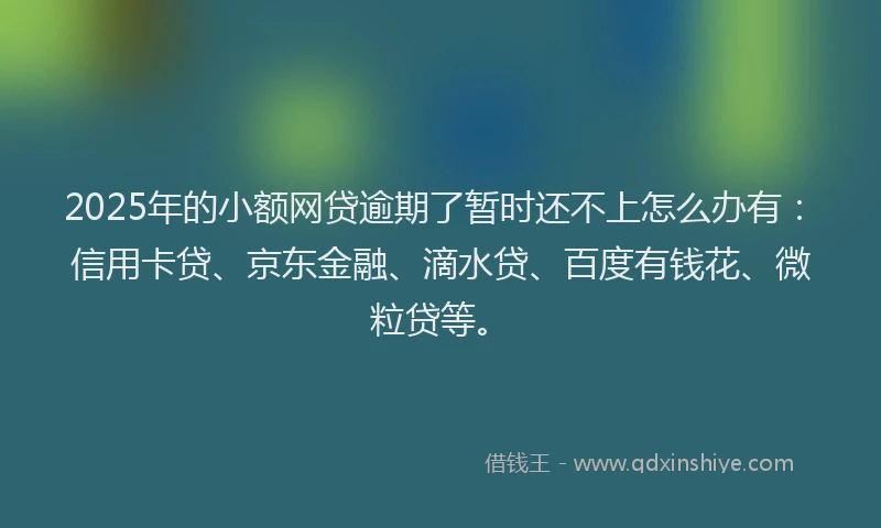 2025年的小额网贷逾期了暂时还不上怎么办有：信用卡贷、京东金融、滴水贷、百度有钱花、微粒贷等。