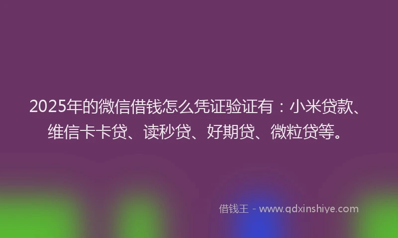 2025年的微信借钱怎么凭证验证有：小米贷款、维信卡卡贷、读秒贷、好期贷、微粒贷等。