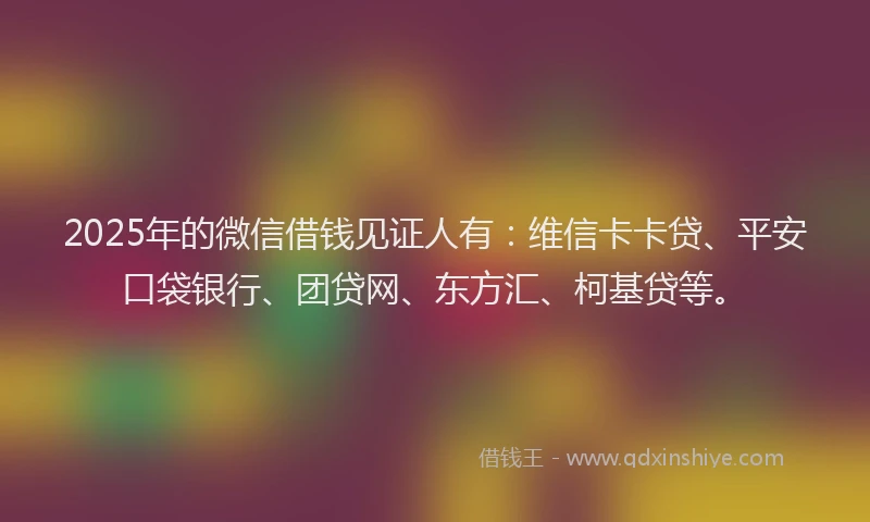 2025年的微信借钱见证人有：维信卡卡贷、平安口袋银行、团贷网、东方汇、柯基贷等。