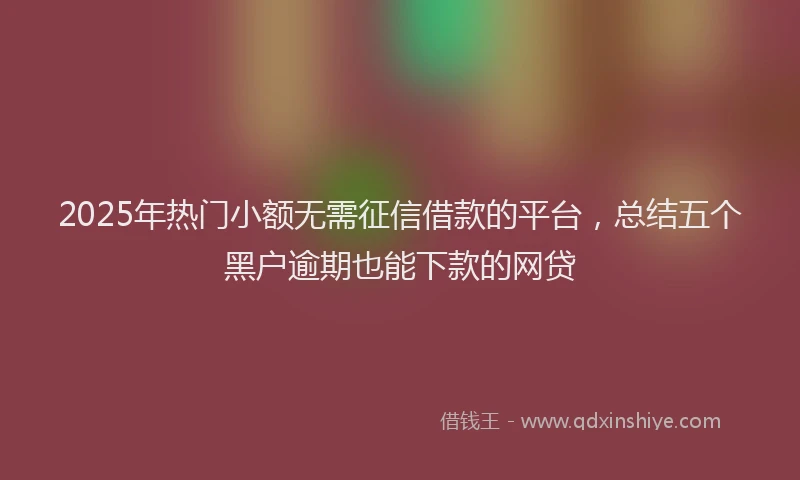 2025年热门小额无需征信借款的平台，总结五个黑户逾期也能下款的网贷