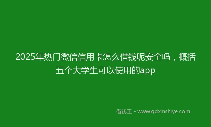 2025年热门微信信用卡怎么借钱呢安全吗，概括五个大学生可以使用的app