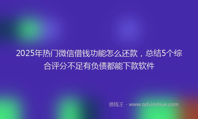 2025年热门微信借钱功能怎么还款，总结5个综合评分不足有负债都能下款软件